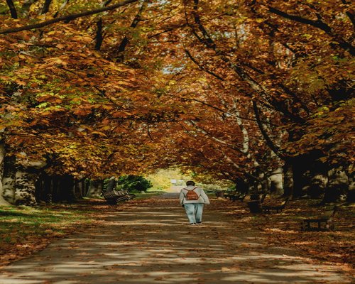 Person wearing casual sneakers walking slowly over autumn leaves along a park pathway